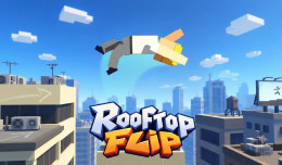 Rooftop Flip